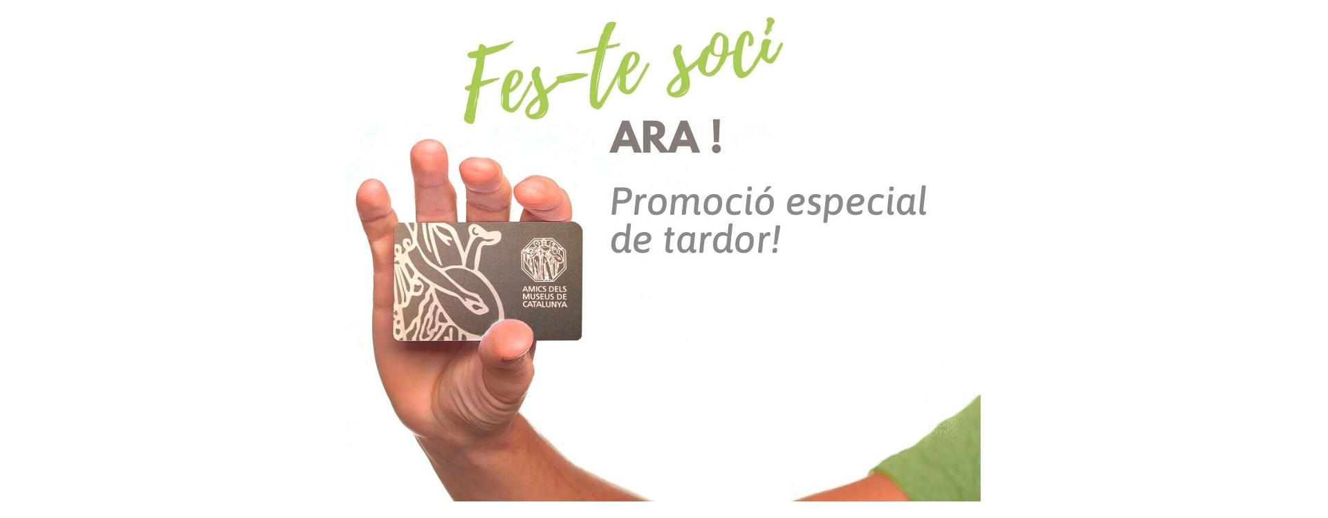 PROMOCIÓ DE TARDOR